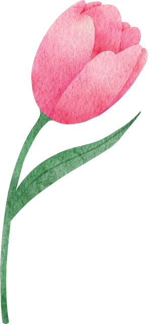 Tulip watercolor