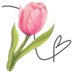 watercolor pink tulip